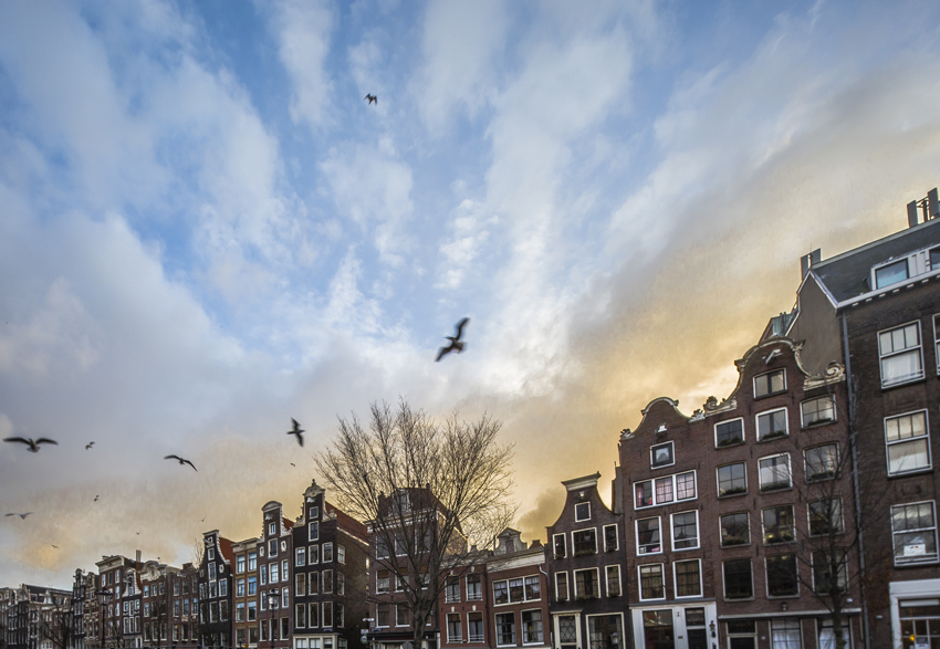 Photos d&rsquo;Amsterdam