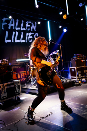 Fallen Lillies Fallen Lillies